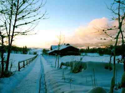 Winterlandschaft / Blick auf den Hof