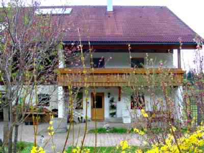 Im Fr&uuml;hling / Ferienwohnungen